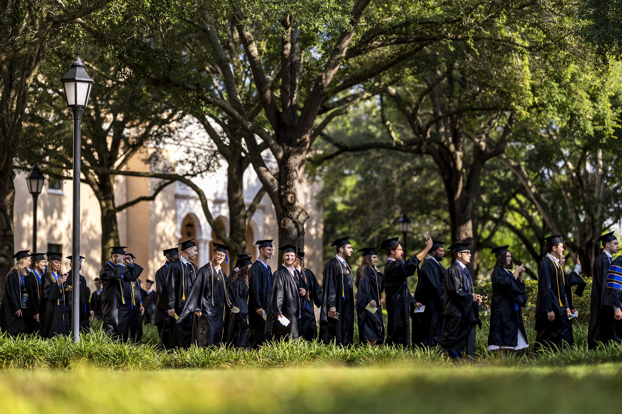 A large group of Rollins College MBA graduates wearing caps and gowns walking in procession through the tree-lined campus