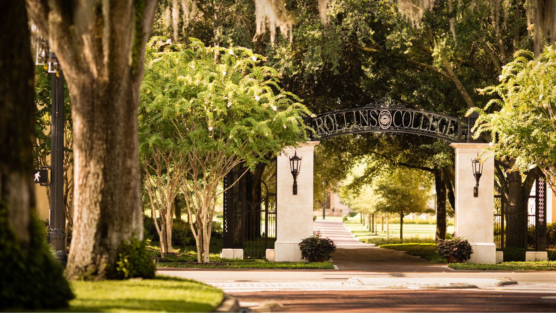 iron gate that says rollins college surrounded by trees and spanish moss